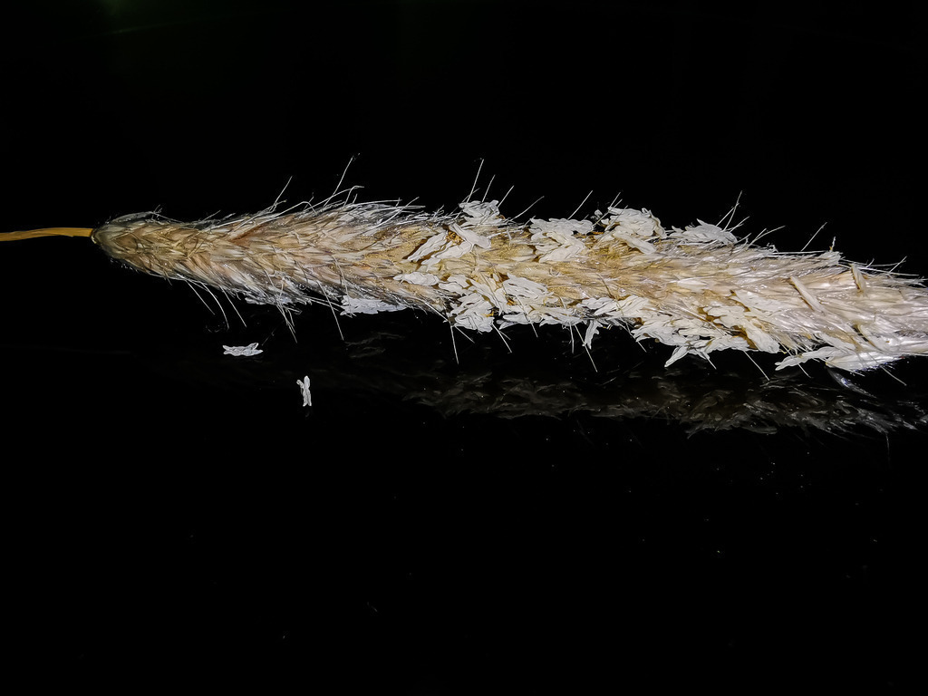 PSX_20230209_225613 | mtkfoto_ - Realisiert mit Pictrs.com