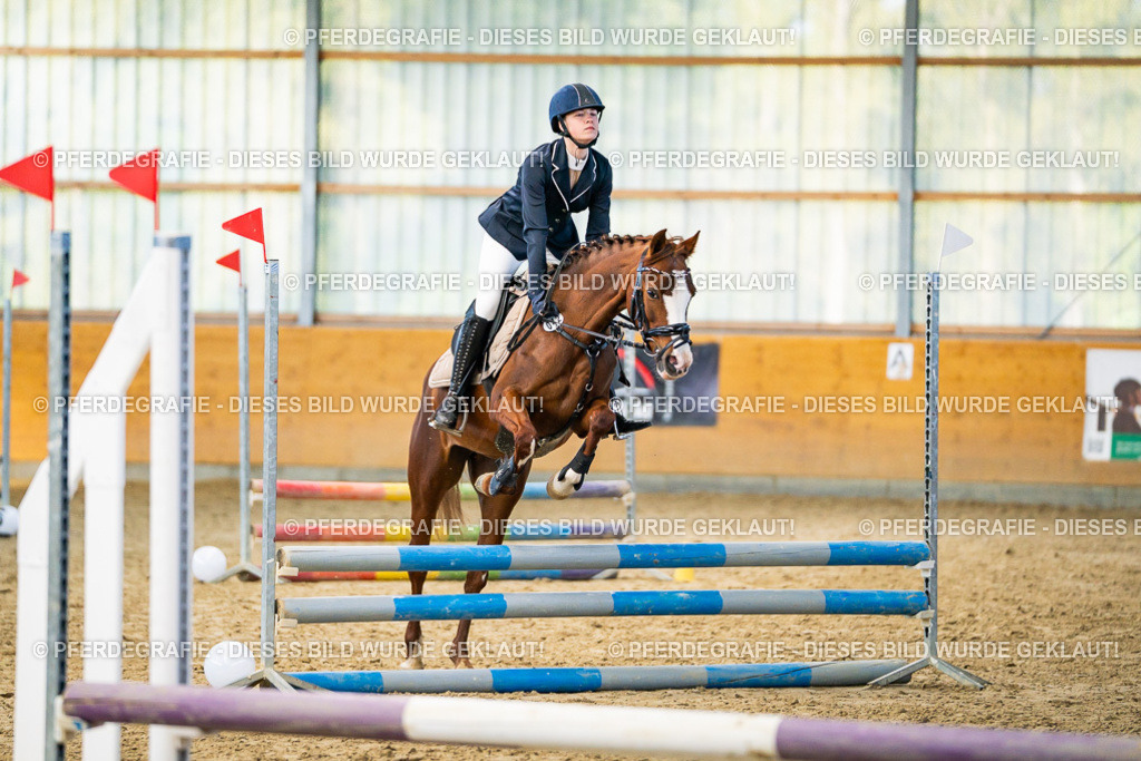 DSC00955 | Pferdegrafie