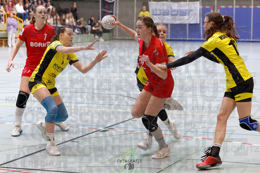 Hessenmeisterschaft wJC - Finale; HSG Kleenheim - HSG Weiterstadt/ Braunsh.Worf. | Hessenmeisterschaft wJC - Finale; HSG Kleenheim - HSG Weiterstadt/ Braunsh.Worf. am 22.03.2025 in Biedenkopf (Sporthalle Lahntalschule)Photo © 2025 - Jörg Heinrich - Realisiert mit Pictrs.com