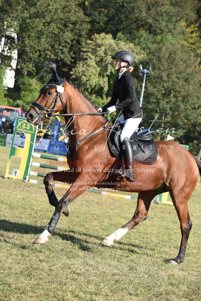 DSC_5302 | Pferde- und Turnierfotografie in Westsachsen. Pferdeportraits, Auftragszeichnungen und intuitive Kunst.