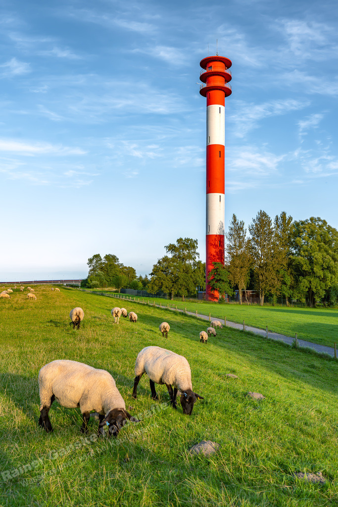 20230902 Wilhelmshaven Voslapp Leuchtturm Schafe -RGanske | Onlineshop mit Bildern von Stränden, Häfen und Meer. Leinwände, Poster, Kalender und andere Materialien erhältlich. Kommerzielle Lizenzen möglich.  - Realisiert mit Pictrs.com