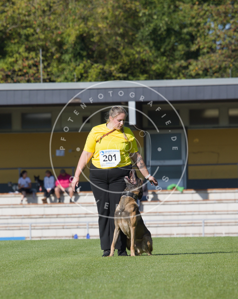 0L8A2312 | Hundefotografie, Tierfotograf, Pfotenfotografie, Fotoshooting Hund, Hunde Portrait, Hundesport, Hundeportraits, Heideshooting, Hunde, Sportfotograf, Hundefotograf, Turnierhundsport, THS,  - Realisiert mit Pictrs.com