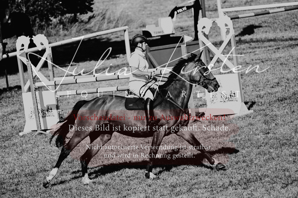 DSC_2176 | Pferde- und Turnierfotografie in Westsachsen. Pferdeportraits, Auftragszeichnungen und intuitive Kunst.