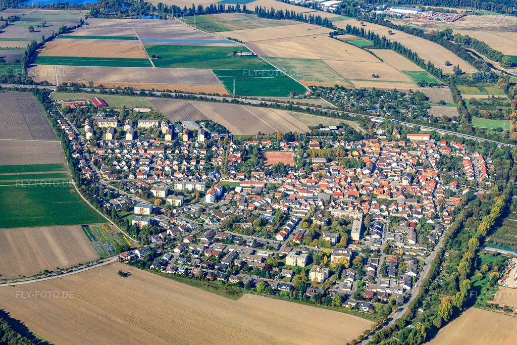 Luftbild: Ortsansicht von Südwesten im Ortsteil Mörsch in Frankenthal im Bundesland Rheinland-Pfalz in Deutschland. Foto: IMG_21780.jpg vom 09.10.2009 durch Werner Riehm/FLY-FOTO.de