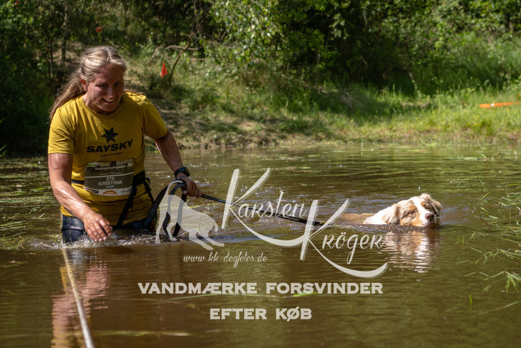 1501DKK992221 | kk-dogfotos