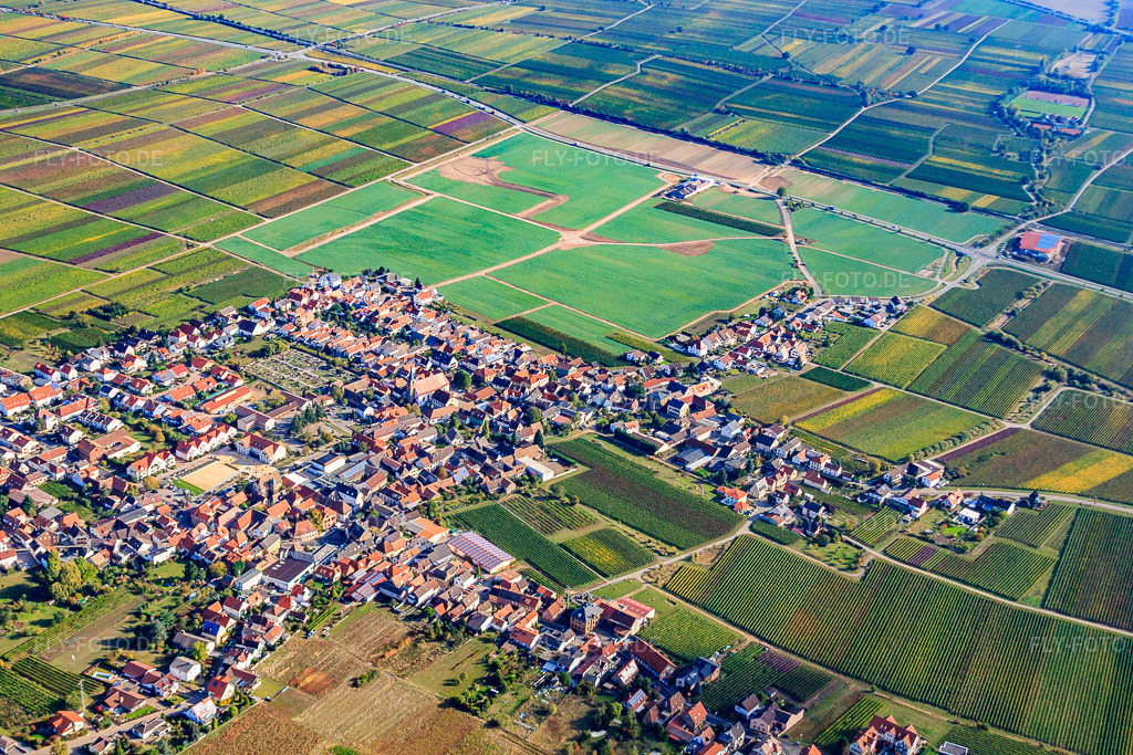 Luftbild: Winzerdorf von Südwesten im Ortsteil Diedesfeld in Neustadt im Bundesland Rheinland-Pfalz in Deutschland. Foto: IMG_22108.jpg vom 15.10.2009 durch Werner Riehm/FLY-FOTO.de
