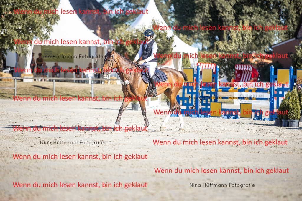 BK1A7470 | Turnierbilder Turnierfotos Nina Hüffmann Turnierfotografie Pferdefotografie Tierzeichnung Haustierzeichnung Pferdezeichnung Hundezeichnung Videograf  - Realisiert mit Pictrs.com