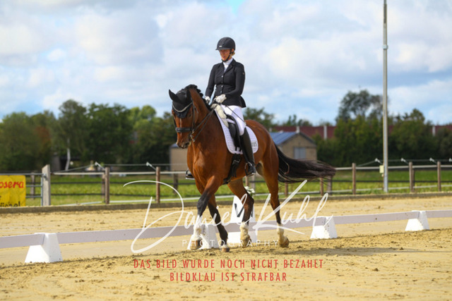 DKP44126 | Turniersportfotografie; Pferdefotografie; Dressurfotografie