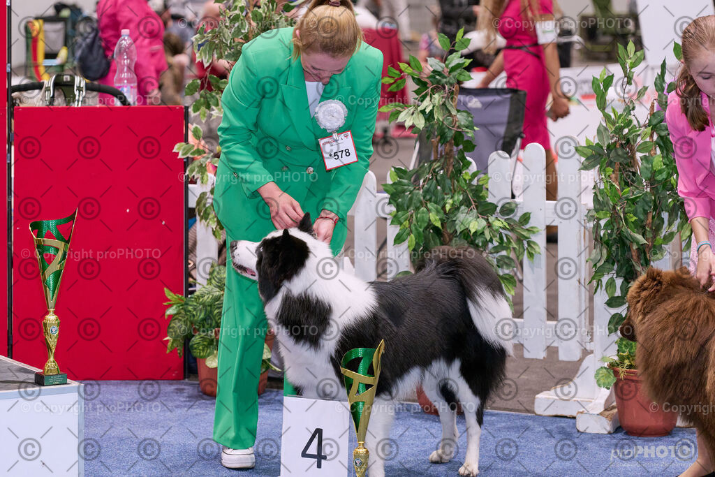 202406_ÖKV-IHA-Tulln24_NZ9_8688 | proPHOTO - Realisiert mit Pictrs.com