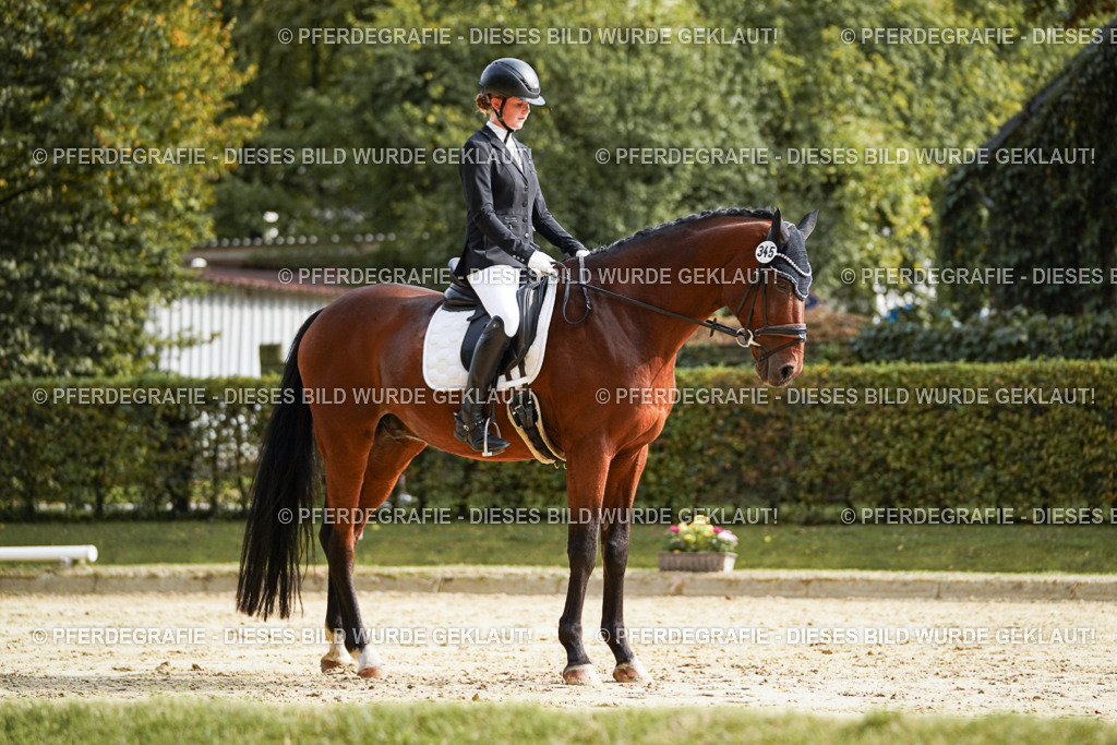 DSC04422 | Pferdegrafie