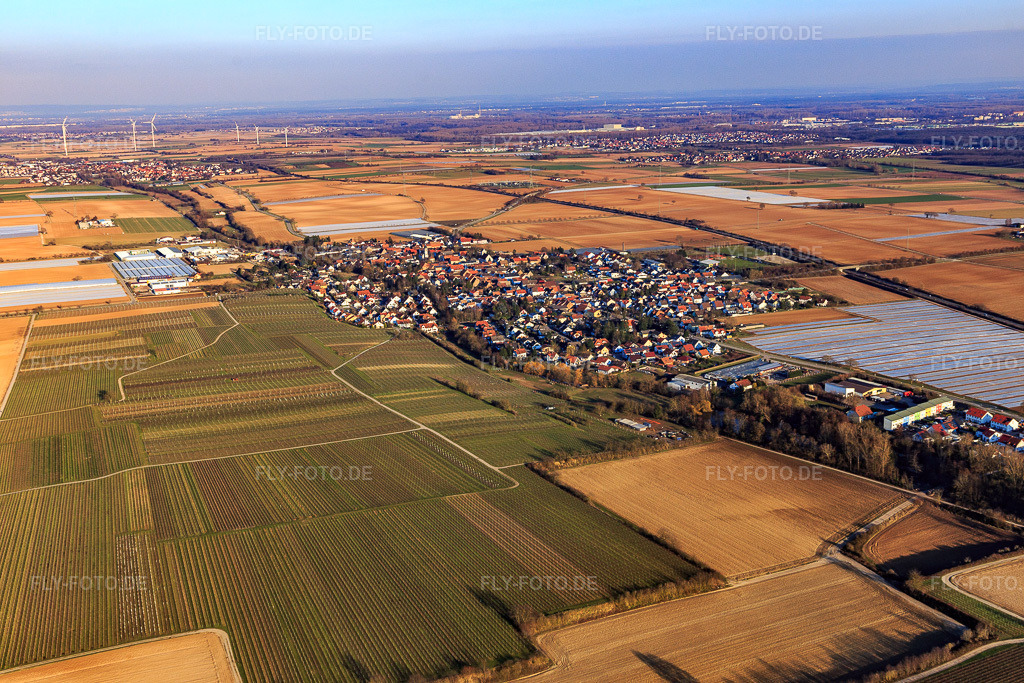 Luftbild: Ortsansicht von Westen in Weingarten im Bundesland Rheinland-Pfalz in Deutschland. Foto: IMG_126072.jpg vom 07.03.2021 durch Werner Riehm/FLY-FOTO.de