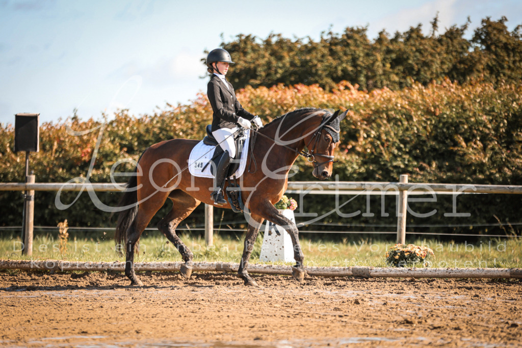 07.SoDrE00140 | Leoni Ertmer Photography - Realisiert mit Pictrs.com