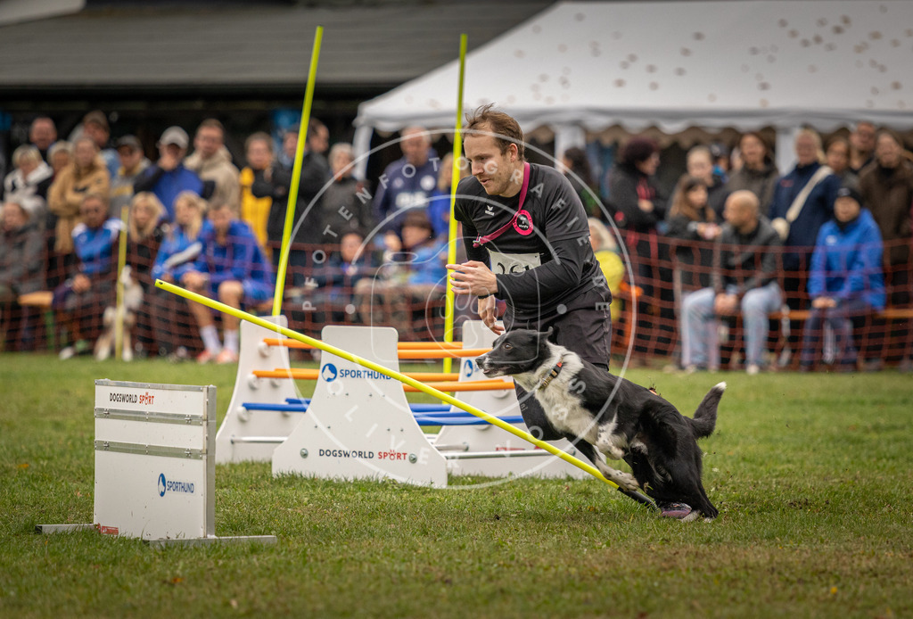 Pfotenfotografie_DV3A7166 | Hundefotografie, Tierfotograf, Pfotenfotografie, Fotoshooting Hund, Hunde Portrait, Hundesport, Hundeportraits, Heideshooting, Hunde, Sportfotograf, Hundefotograf, Turnierhundsport, THS,  - Realisiert mit Pictrs.com