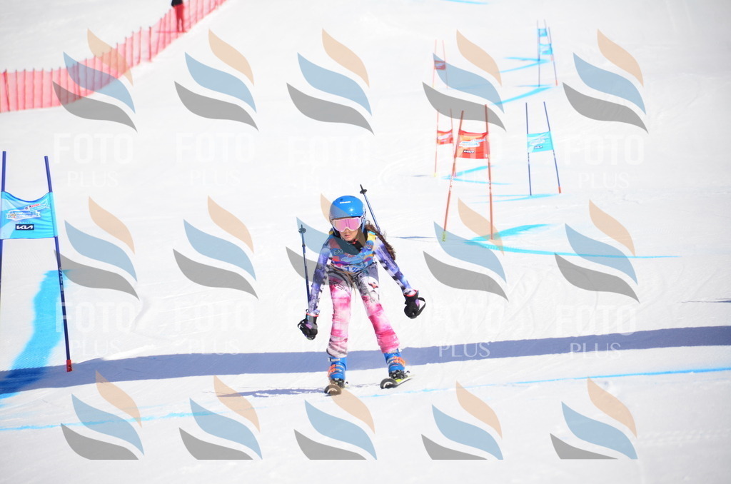 VR4_9541 | holidayphoto