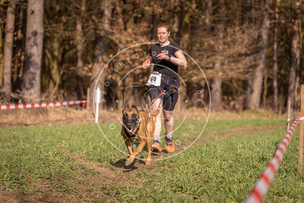 DV3A6421 | Hundefotografie, Tierfotograf, Pfotenfotografie, Fotoshooting Hund, Hunde Portrait, Hundesport, Hundeportraits, Heideshooting, Hunde, Sportfotograf, Hundefotograf, Turnierhundsport, THS,  - Realisiert mit Pictrs.com