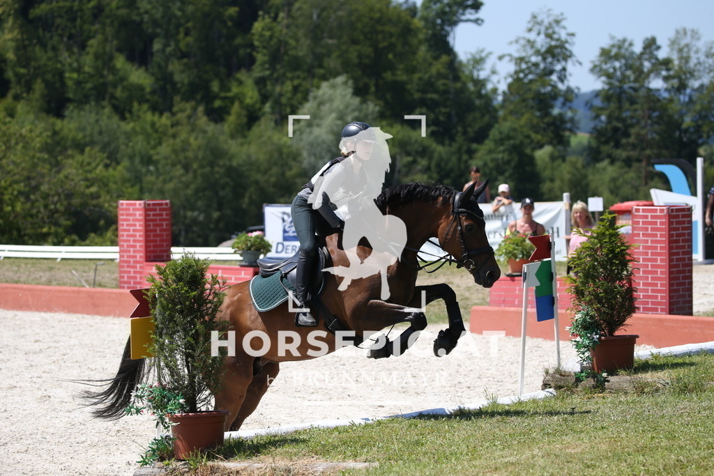 DL2Q1193 | Willkommen bei Brunnmayr - Design & Fotografie – Ihrem Spezialisten für Reitturniere und Pferdeveranstaltungen in Oberösterreich, Salzburg und Bayern! Seit über 17 Jahren sind wir leidenschaftlich dabei.