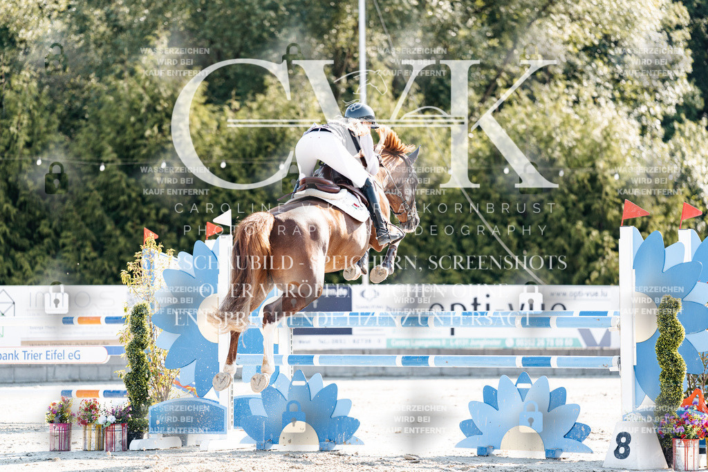 CK901887 | Turnierfotografie Pferdefotografie Trier Rheinland-Pfalz Pferdesport Reitsport Tierfotografie Sportfotografie Pferdevideo Pferdevideografie Equestrianvideography equestrianphotography  - Realisiert mit Pictrs.com