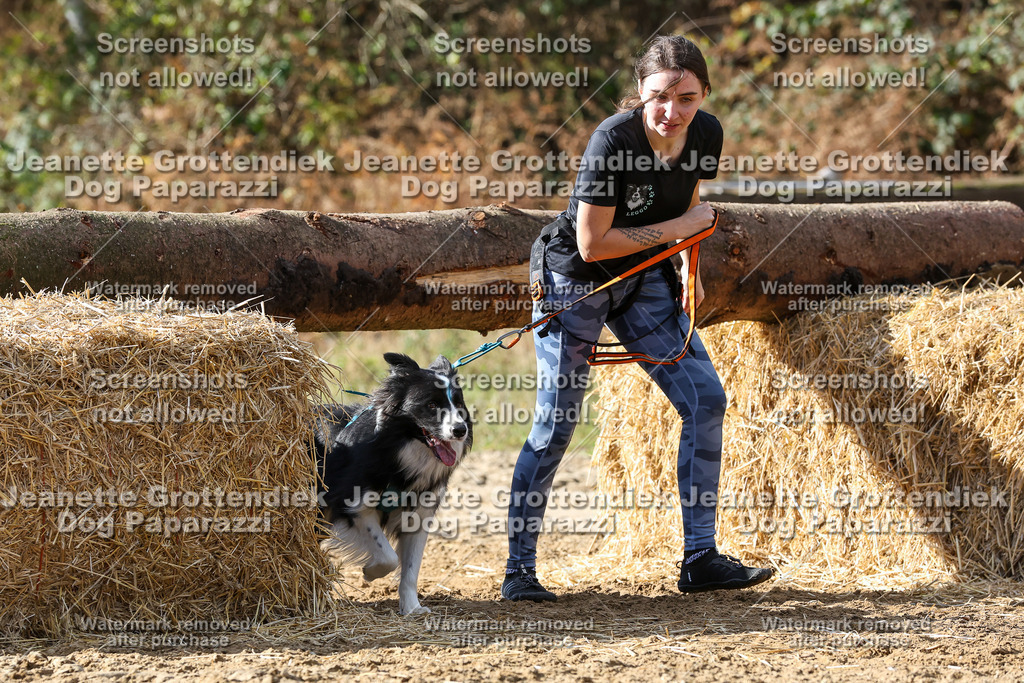 Dog Paparazzi - Strongdog 10-25-4963 | Dog Paparazzi Jeanette Grottendiek Fotografie & Videografie - Realisiert mit Pictrs.com