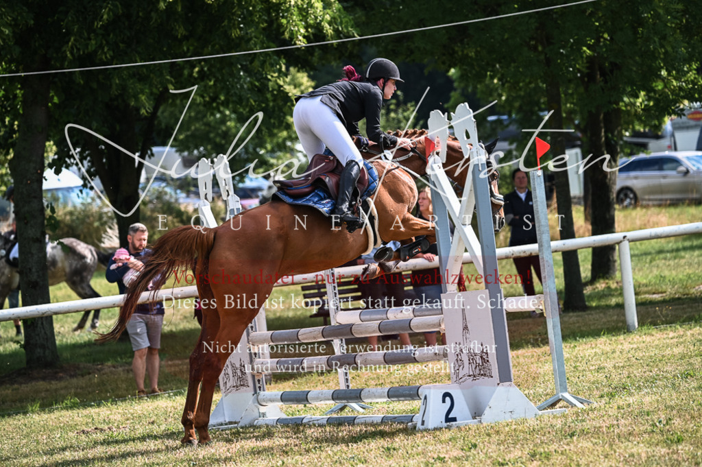 DSC_7824 | Pferde- und Turnierfotografie in Westsachsen. Pferdeportraits, Auftragszeichnungen und intuitive Kunst.
