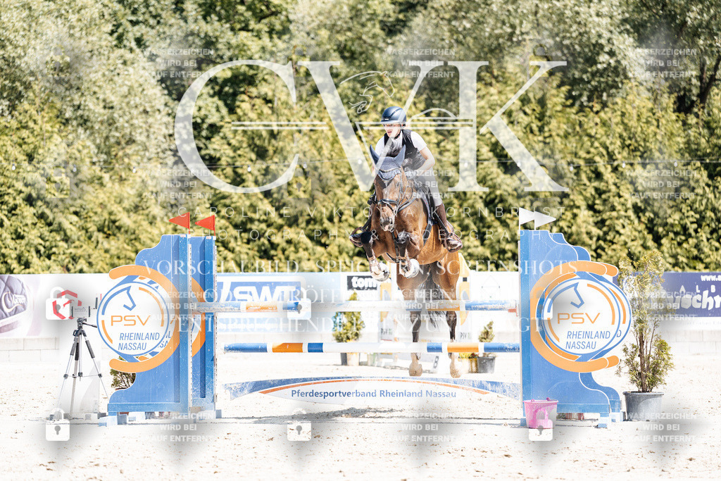 CK900386 | Turnierfotografie Pferdefotografie Trier Rheinland-Pfalz Pferdesport Reitsport Tierfotografie Sportfotografie Pferdevideo Pferdevideografie Equestrianvideography equestrianphotography  - Realisiert mit Pictrs.com