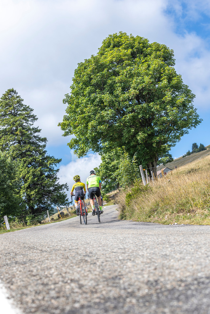 _01A5318 | Sportbilder, Sportfotograf, Hochzeits- und Eventfotografin, Flugshows, Portraits und Tiershooting, Aviation, Downhill, Nationalleague, Swissleague, International