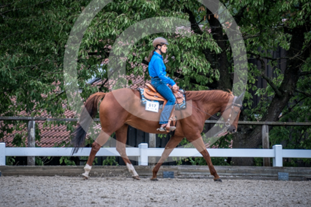 HEB07219 | BS-foto