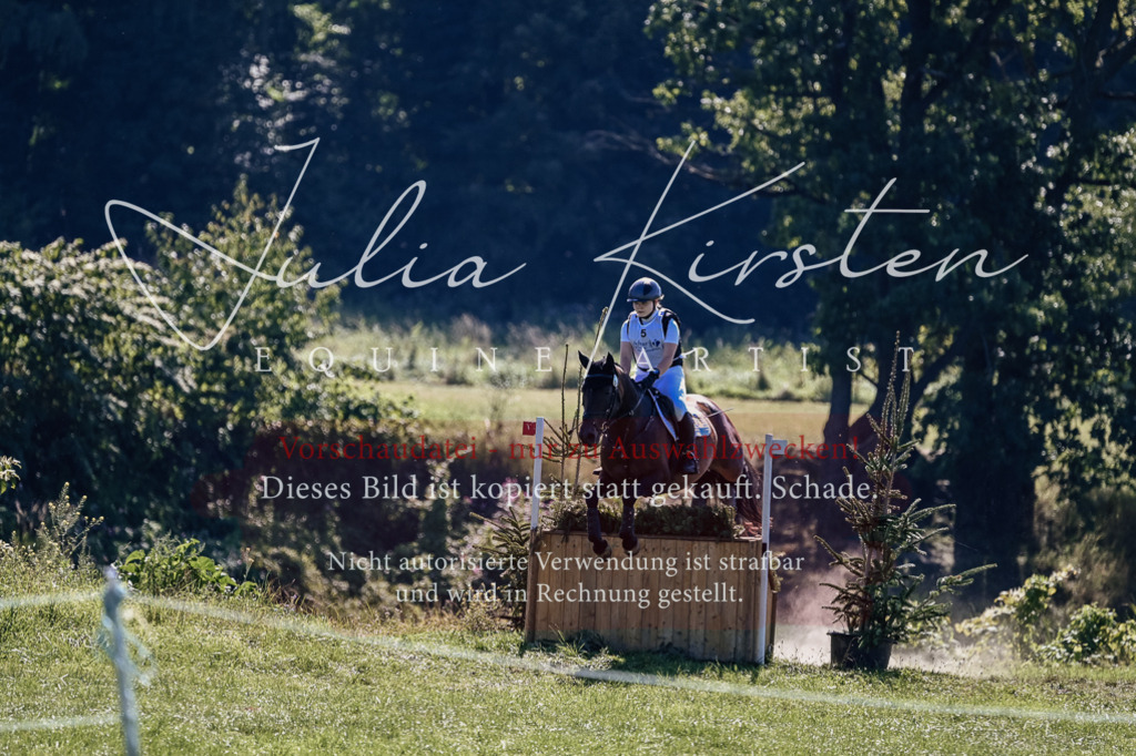 DSC_1487 | Pferde- und Turnierfotografie in Westsachsen. Pferdeportraits, Auftragszeichnungen und intuitive Kunst.