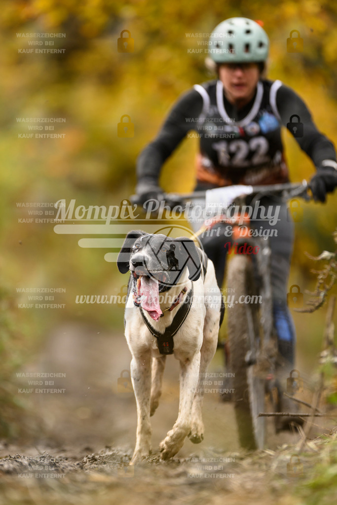 MompixPhotography_ICF_WC_2024_SA_Bike_-107 | PayLife