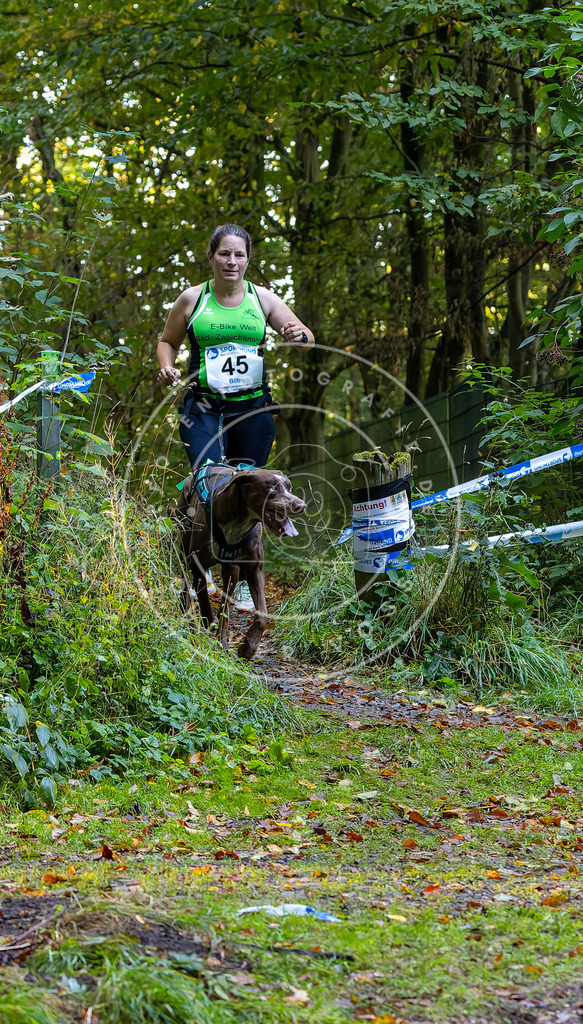 Pfotenfotografie_DV3A6893 | Hundefotografie, Tierfotograf, Pfotenfotografie, Fotoshooting Hund, Hunde Portrait, Hundesport, Hundeportraits, Heideshooting, Hunde, Sportfotograf, Hundefotograf, Turnierhundsport, THS,  - Realisiert mit Pictrs.com