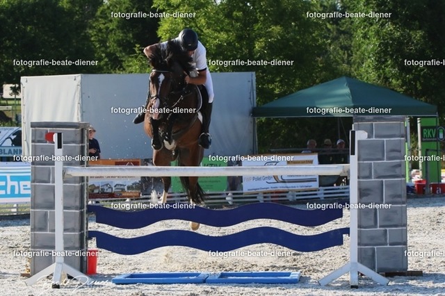 OHT 2022 Röhlingen (195) | Fotografie, Tiere, Hunde, Katzen, Pferde, Sportfotografie, Fotosession, Tierfotografie, Turnierfotografie, Fotografin, Fotograf - Realisiert mit Pictrs.com