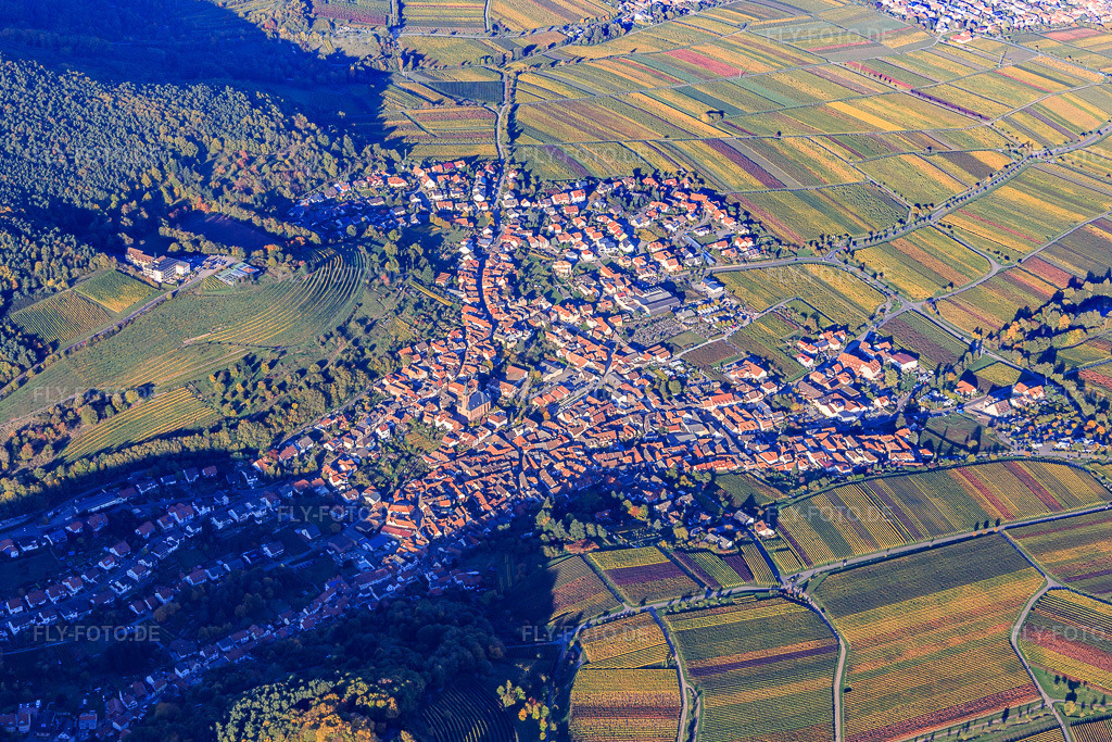 Luftbild: Winzerort am Haardtrand aus Südwesten im Ortsteil SaintMartin in Sankt Martin im Bundesland Rheinland-Pfalz in Deutschland. Foto: IMG_104059.jpg vom 14.10.2017 durch Werner Riehm/FLY-FOTO.de