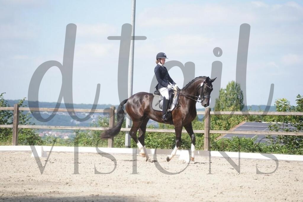 tgbhsonntag (677) | d.tail Visions - Shop - Realisiert mit Pictrs.com