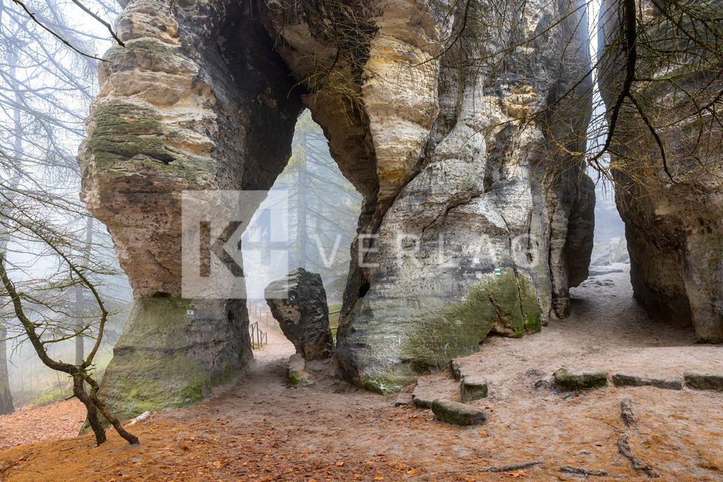 Wandbild-Tyssaer-Waende-Nebel-0U3A7169 | Nebelstimmung in den Tyssaer Wänden in der Böhmischen Schweiz im Elbsandsteingebirge - Realisiert mit Pictrs.com