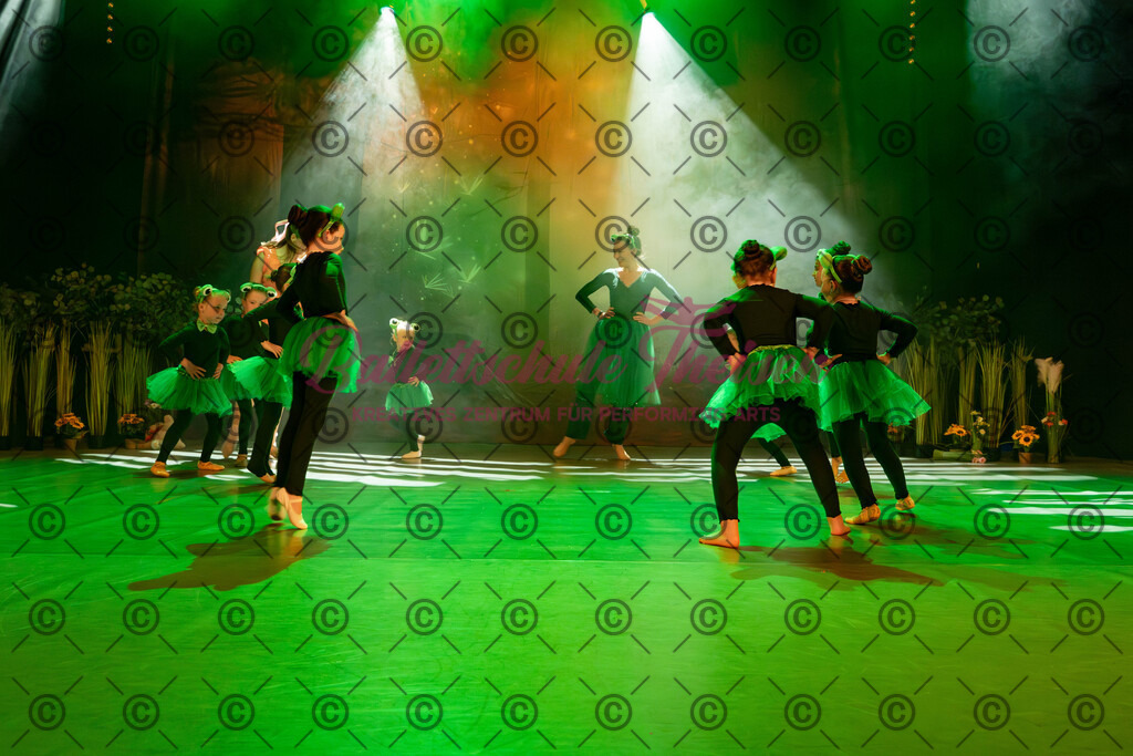 Ballettaufführung-351 | Bildershop Lem'n Entertainment - Realisiert mit Pictrs.com
