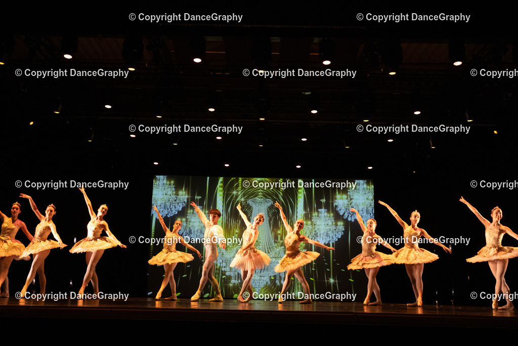 GPHY6491 | DanceGraphy - Realisiert mit Pictrs.com