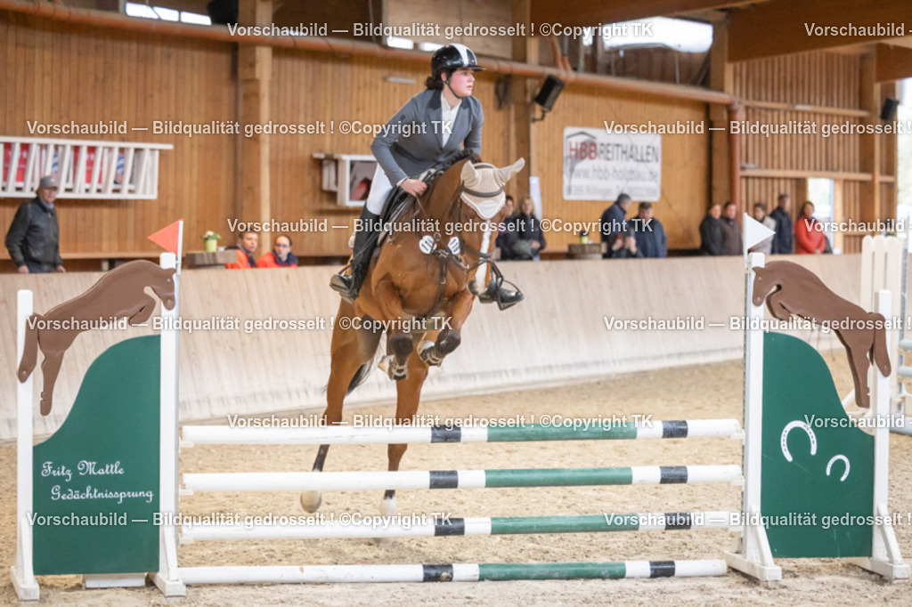 _D5A7052 | Emotionale Pferde- & People-Fotografie rund um Heidelberg, Leimen & Umgebung. Natürliche Fotos von Pferd, Mensch & Familie. Jetzt Termin sichern!