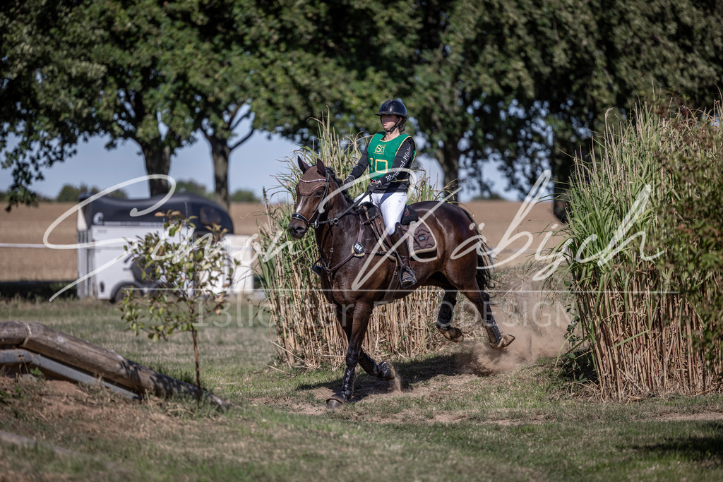 20260906-_3LI5673 | Tierfotografie Pferde, Hunde, Katzen, Haustiere.
Turnierfotografie Reitturniere, Reiten, Springreiten, Dressur in Hanau, dem Main-Kinzig-Kreis und dem Rhein-Main- Gebiet um Frankfurt
