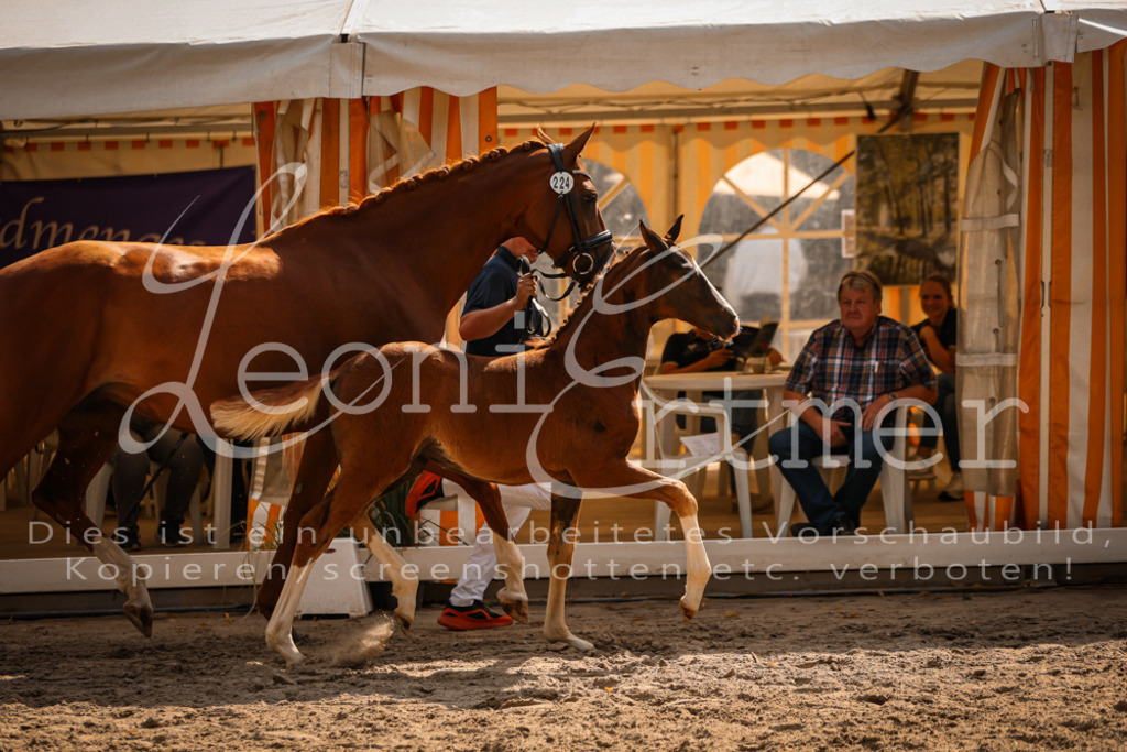 09.DoWBD00070 | Leoni Ertmer Photography - Realisiert mit Pictrs.com