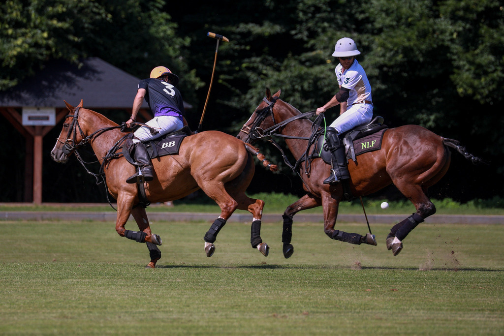 1_LaMaisonVsEasybill.de_200525_039 | Bildergalerie von Sport-Ereignissen aber auch von weiteren spannenden Dingen - nicht nur vom Niederrhein. In Anlehnung an den bekannten Spruch von Hanns Dieter Hüsch heißt das Motto: "Niederrhein ist überall".  - Realisiert mit Pictrs.com