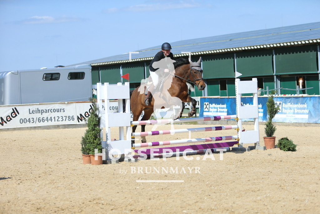 DL2Q2924 | Willkommen bei Brunnmayr - Design & Fotografie – Ihrem Spezialisten für Reitturniere und Pferdeveranstaltungen in Oberösterreich, Salzburg und Bayern! Seit über 17 Jahren sind wir leidenschaftlich dabei.