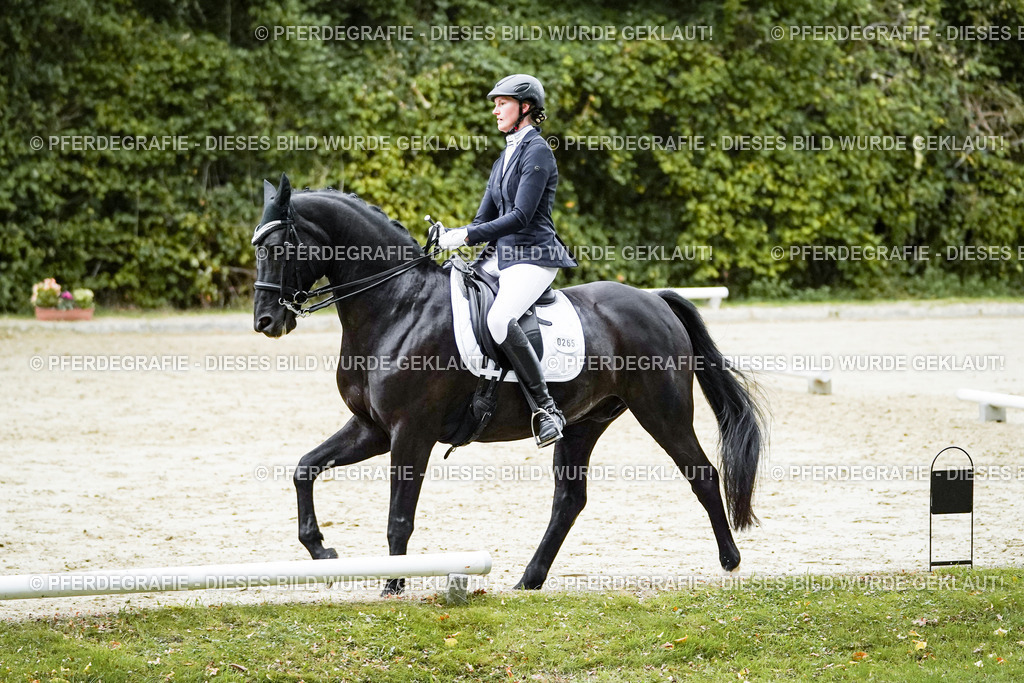 DSC00144 | Pferdegrafie