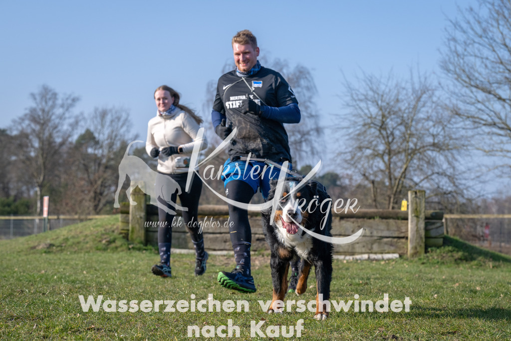 _ZZ94900 | kk-dogfotos