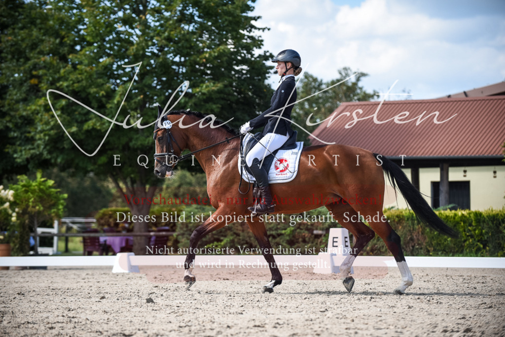 DSC_9481 | Pferde- und Turnierfotografie in Westsachsen. Pferdeportraits, Auftragszeichnungen und intuitive Kunst.