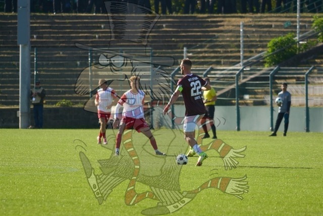 BFC Dynamo vs. FSV Zwickau 051 | mythos-online-redaktion