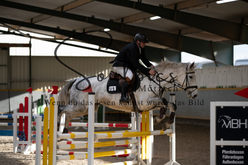 A7V02474 | Pferdefotograf