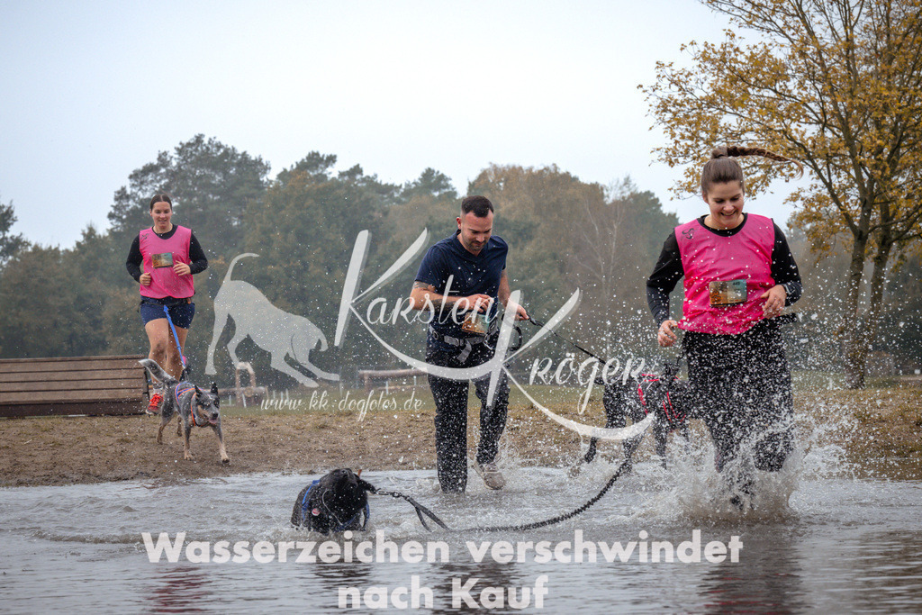 1108_ZZ93107 | kk-dogfotos