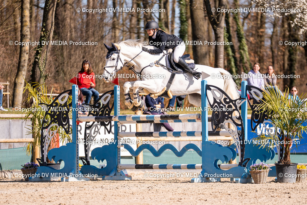 Kranichstein Tag 2-784 | dv-media-shop - Realisiert mit Pictrs.com