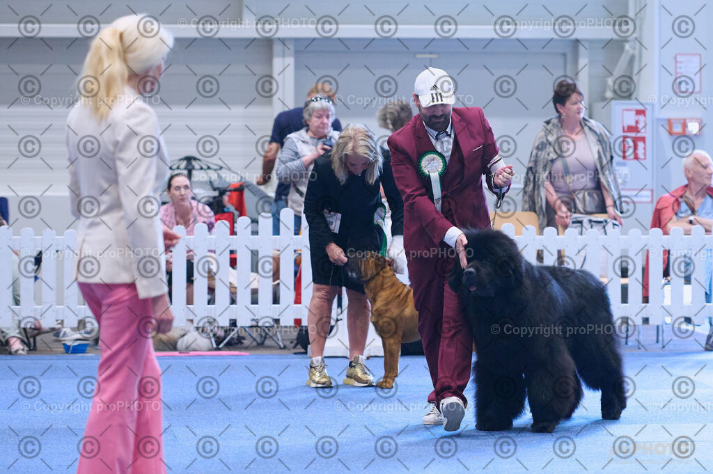 202406_ÖKV-IHA-Tulln24_DSC_3829 | proPHOTO - Realisiert mit Pictrs.com