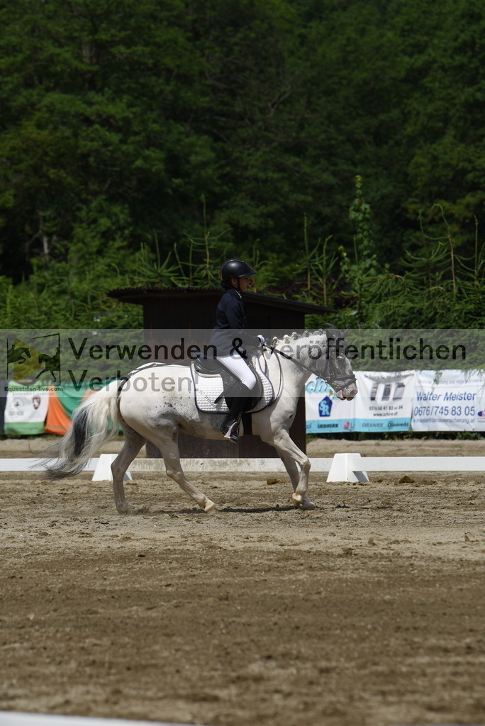 DSC_8790 | equestrian-live-com