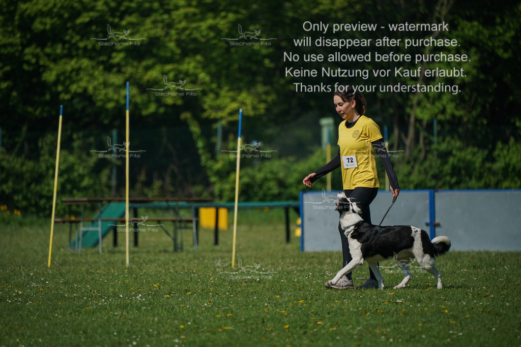 Sa_Gehorsam_Vormittag-14 | stephaniefillaphotographie - Realisiert mit Pictrs.com